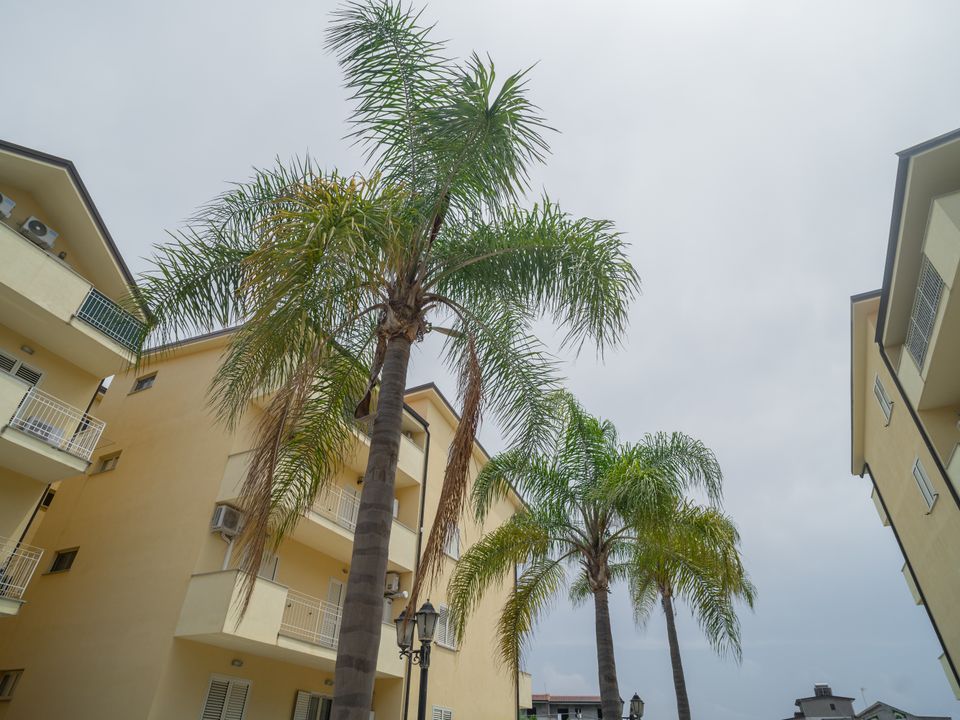 Lejlighed i Marina di Caulonia, Reggio Calabria - foto 4